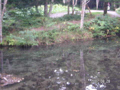 s_PICT0377.jpg
